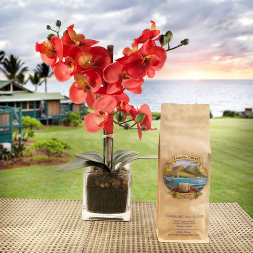 Ohana Special Dark Roast Coffee Beans in Resealable Kraft Bag with Old Lahaina Coffee logo 